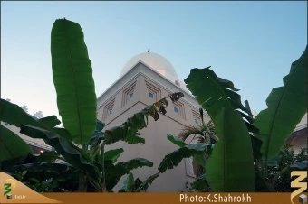 مسجد شَجره