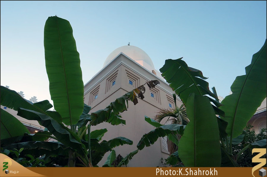 مسجد شَجره