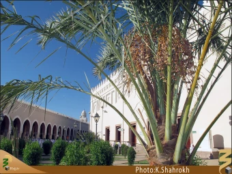 مسجد شَجره