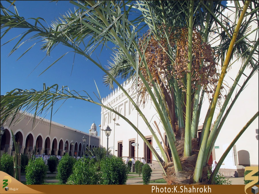 مسجد شَجره
