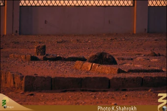 قبرستان احد