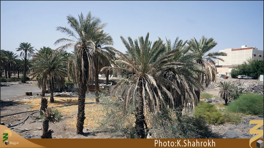 باغ امام هادي (عليه السلام)
