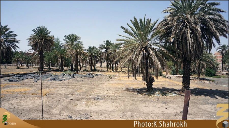 باغ امام هادي (عليه السلام)