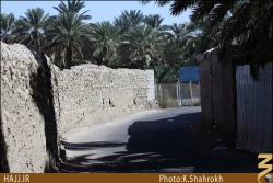 مزارع سلمان فارسي