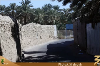 مزارع سلمان فارسي