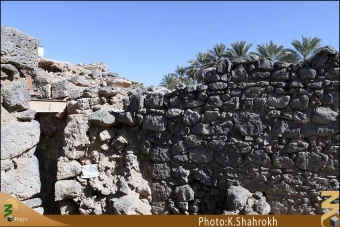 مزارع سلمان فارسي