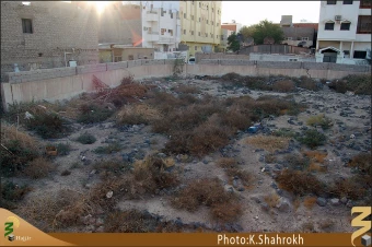 مسجد رد الشمس