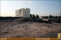 مسجد عريض