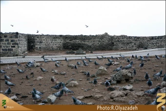 چهار امام معصوم (عليهم السلام)