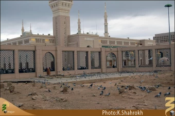 عمه هاي پيامبر و حضرت ام البنين (سلام الله عليهن)