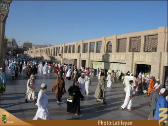 بين الحرمين