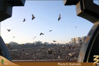 پنجره هاي بقيع