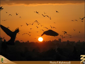 غروب بقيع