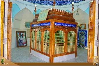 محمد بن عقيل