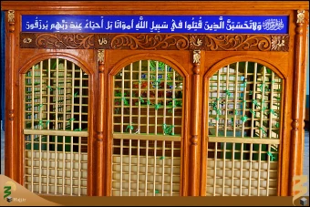 محمد بن عقيل