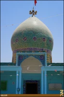 محمد بن عقيل