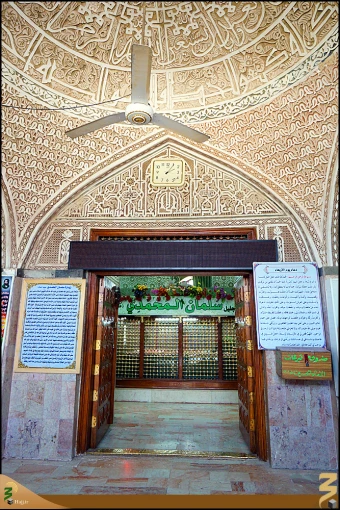سلمان محمدي