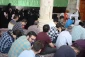 دانشگاهیان