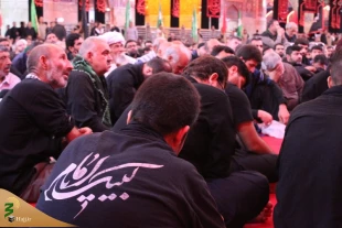 موکب امام رضا

 5