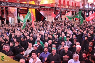 موکب امام رضا

 14