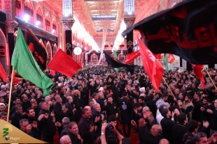 موکب امام رضا

 16