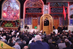 چهارمین روز عزاداری موکب امام رضا (ع) در کربلا/تصاویر 3