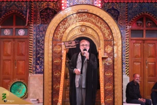 چهارمین روز عزاداری موکب امام رضا (ع) در کربلا/تصاویر 5