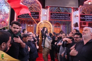 چهارمین روز عزاداری موکب امام رضا (ع) در کربلا/تصاویر 6