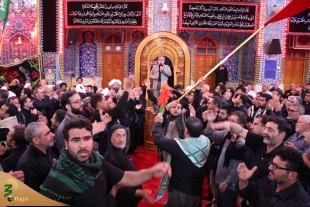 چهارمین روز عزاداری موکب امام رضا (ع) در کربلا/تصاویر 7