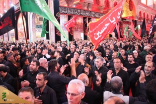 چهارمین روز عزاداری موکب امام رضا (ع) در کربلا/تصاویر 10
