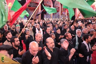 چهارمین روز عزاداری موکب امام رضا (ع) در کربلا/تصاویر 12