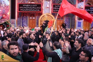 چهارمین روز عزاداری موکب امام رضا (ع) در کربلا/تصاویر 13