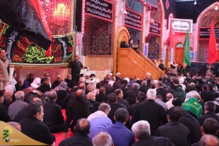 چهارمین روز عزاداری موکب امام رضا (ع) در کربلا/تصاویر 18