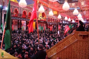 چهارمین روز عزاداری موکب امام رضا (ع) در کربلا/تصاویر 21