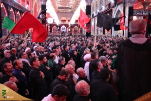 پنجمین روز عزاداری موکب امام رضا (ع) در کربلا/تصاویر 14
