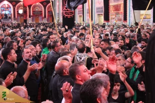 پنجمین روز عزاداری موکب امام رضا (ع) در کربلا/تصاویر 15