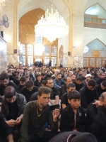 دلسوختگان  و عاشقان امام حسین علیه السلام 8