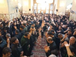دلسوختگان  و عاشقان امام حسین علیه السلام 11