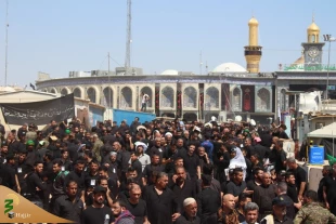 عاشورای حسینی در کربلای معلا/ گزارش تصویری(2) 8