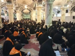 دعای کمیل نجف در سالروز شهادت امام سجاد 2