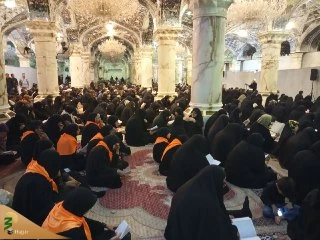 دعای کمیل نجف در سالروز شهادت امام سجاد 2