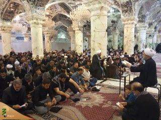 دعای کمیل نجف در سالروز شهادت امام سجاد 8