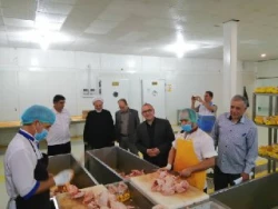 بازدید  از آشپزخانه مرکزی الغدیر نجف 10