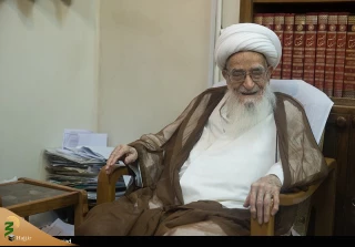 آیت‌الله صافی گلپایگانی: پیاده‌روی اربعین در دنیا سبب افتخار شیعه شده است