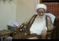آیت‌الله صافی گلپایگانی: 

پیاده‌روی اربعین در دنیا سبب افتخار شیعه شده است 2