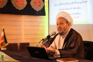 زائران به جهت کثرت جمعیت در اربعین بیشتر از یک‌شب در کربلا نمانند 2
