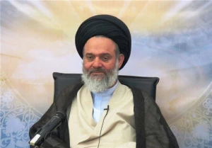 آیت الله حسینی بوشهری:

اربعین حسینی تمدن‌ساز خواهد بود