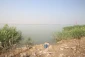 حضور نماینده ولی فقیه در امور حج وزیارت در قدمگاه شهدای غواص/گزارش تصویری 9
