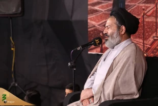 احباب الرضا/تایید نشده است/اربعین بهترین فرصت برای ترویج فرهنگ دینی و معارف اسلامی است/ 4
