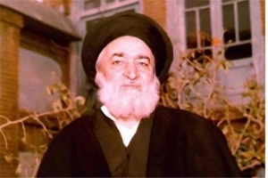 حالات خاص شهید مدنی در پیاده‌روی کربلا
